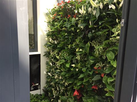Grădină verticală cu plante naturale – Vilă rezidențială, foto 1 din 9